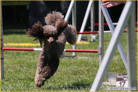 Hakim beim AG-Training